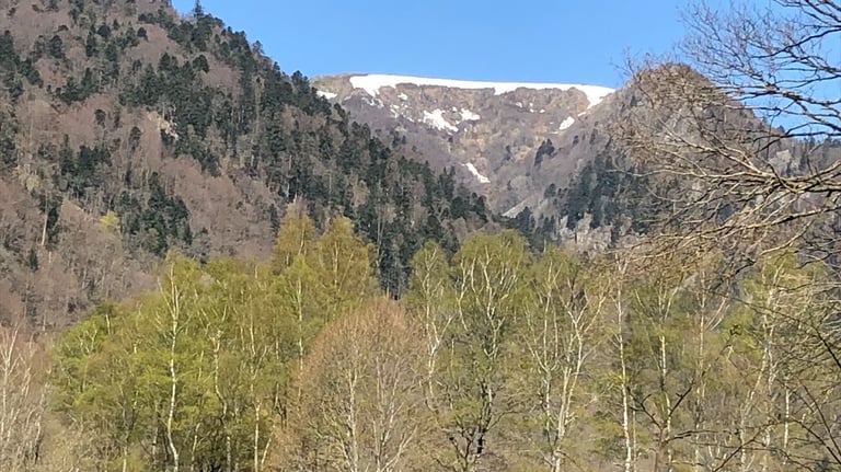 vallée de la Wormsa avec son cirque d'origine glaciaire, prairie verdoyante vallée escaprpée avec des pentes raides présence 