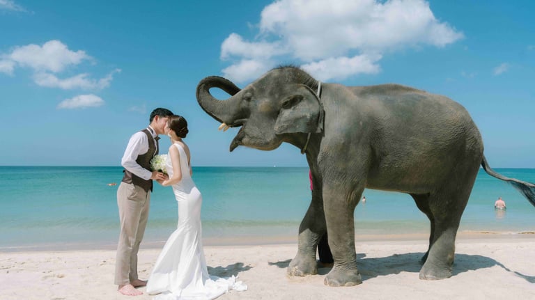 象さんとウエディングフォト