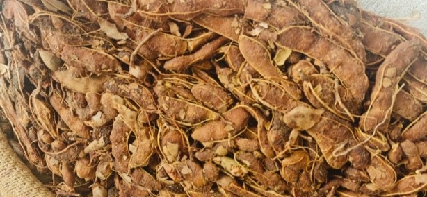 Wild Harvested Tamarind with Seed from Tribal Villages of India β RATHORE EXIM