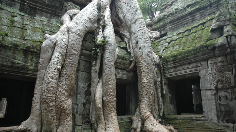 Ta Prohm, the Tomb Raider Temple, Angkor Wat, Siem Reap, Cambodia