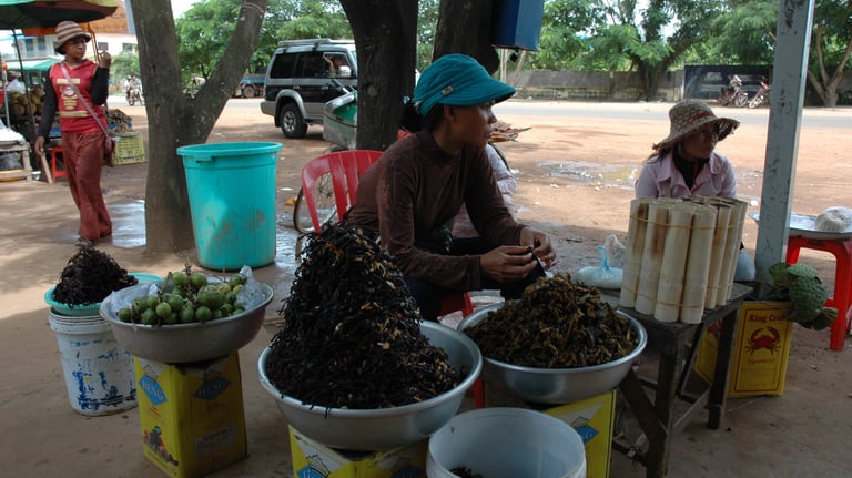 deep fried zebra tarantulas at a comfort stop to Siem Reap from Phenom Penh, Cambodia