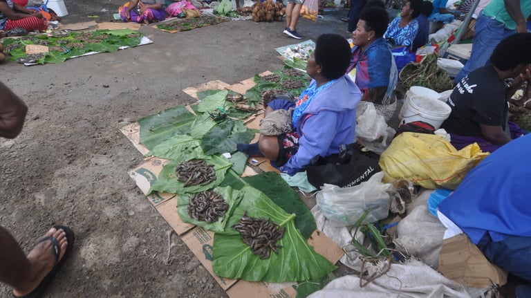 suva fish market, fiji