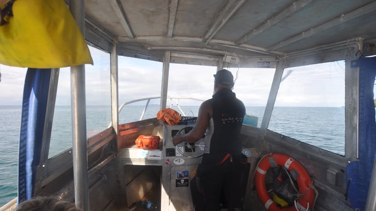 Beqa Shark dive, Aqua Trek dive center, Pacific Harbour, Fiji
