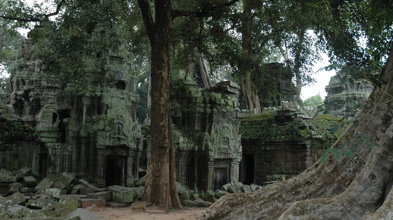 Ta Prohm, the Tomb Raider Temple, Angkor Wat, Siem Reap, Cambodia