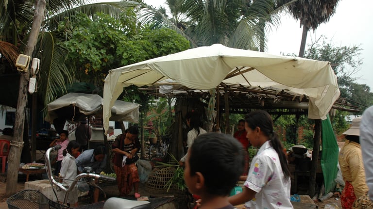 Village near the Temples of Angkor, Siem Reap, Cambodia