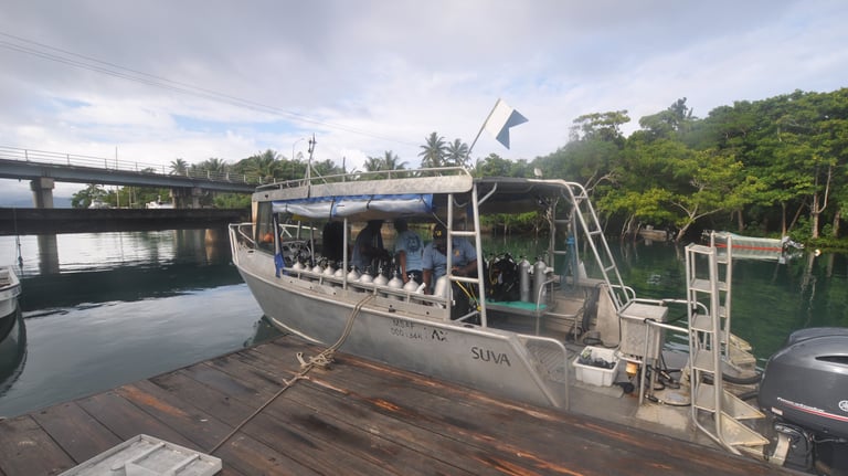 Beqa Shark dive, Aqua Trek dive center, Pacific Harbour, Fiji