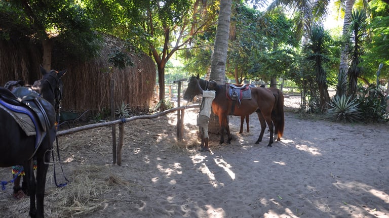 Nick and Tracey Billington Horse riding at Tofo Beach, Praia do Tofo, Mozambique
