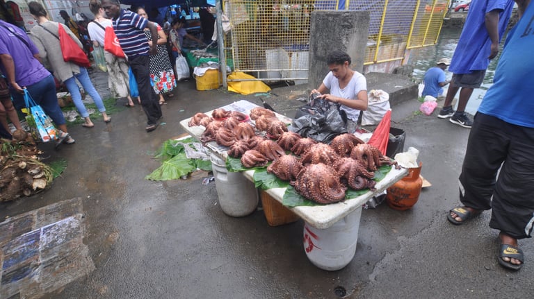 suva fish market, fiji