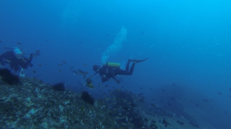 Tracey and Nick Billington diving at Tofo Beach, Praia Do Tofo, Mozambique
