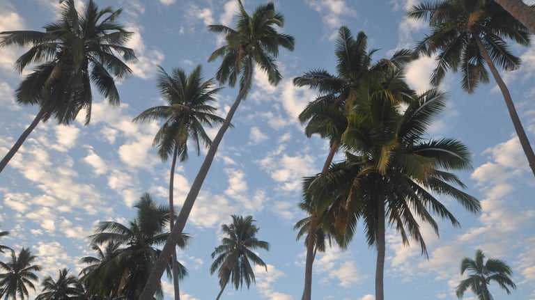 Mango Bay Resort, Namatakula, Fiji