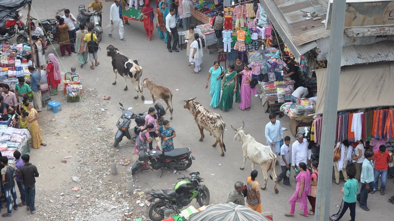 Looking down on the main square on the Bazar Road, New Delhi, India