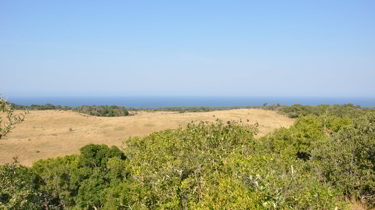 coastal view in the Isimangaliso wetland park, St Lucia, South Africa