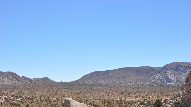 Joshua Tree National Park, USA
