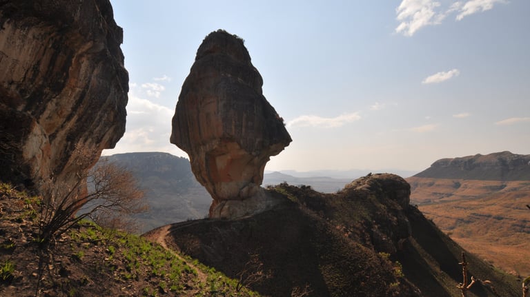 Policemans Helmet, Thendele, Drakensberg mountains, South Africa