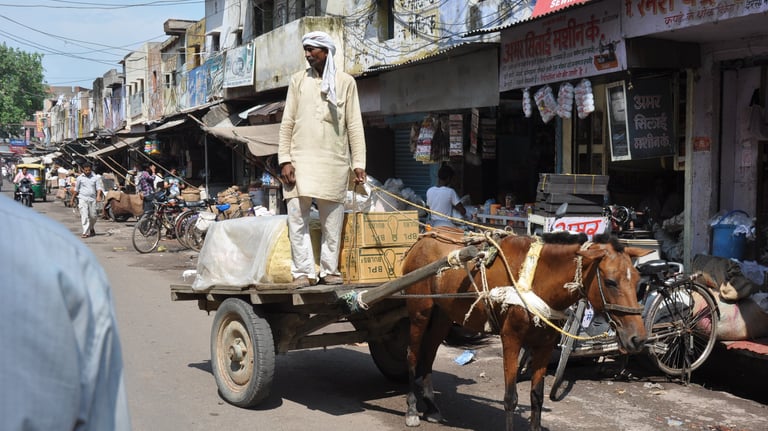 life in the streets of Agra, Uttar Pradesh, India