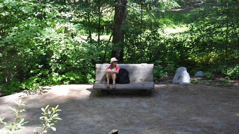a woman sitting on a bench in a wooded area along General Sherman Tree trail, sequoia national park