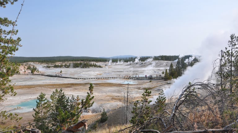 Yellowstone national park