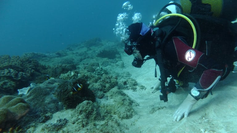 tracey billington diving, sodwana bay, South Africa