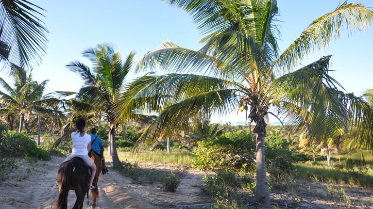 Nick and Tracey Billington Horse riding at Tofo Beach, Praia do Tofo, Mozambique