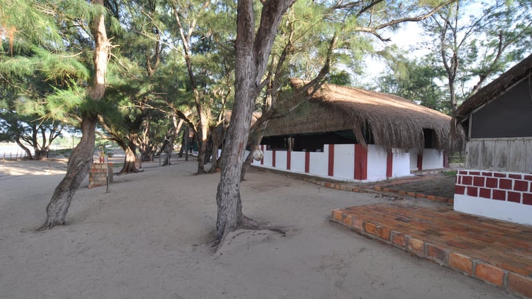 Our accommodation right on the beach at Tofo beach, Praia Do Tofo, Mozambique