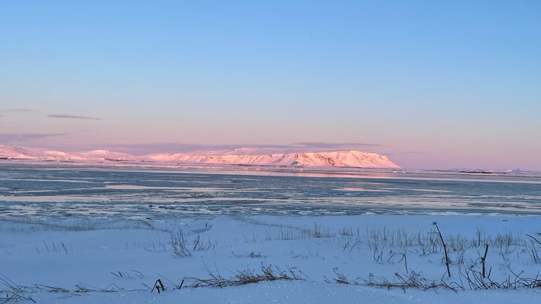 Olfusa river estuary, Iceland
