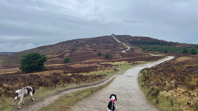 the path to the top of Moel Famau, Wales