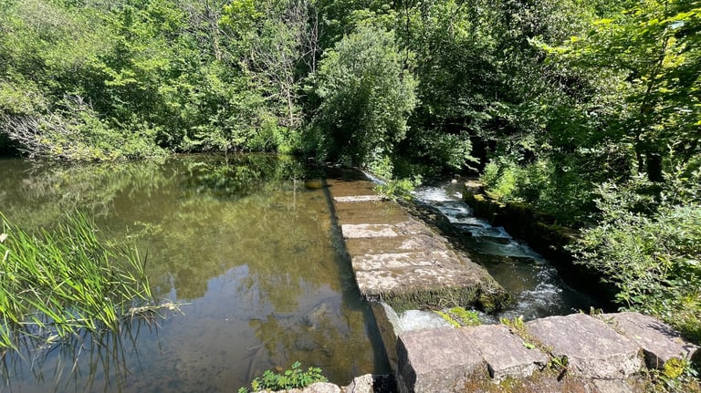 the dingle dell nature reserve