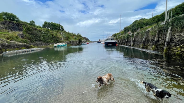 Port Amlwch harbour, Anglesey