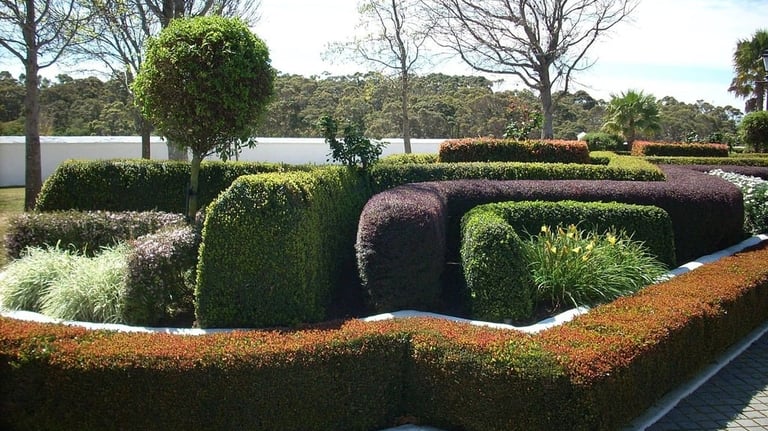 Topiary in Pocklington