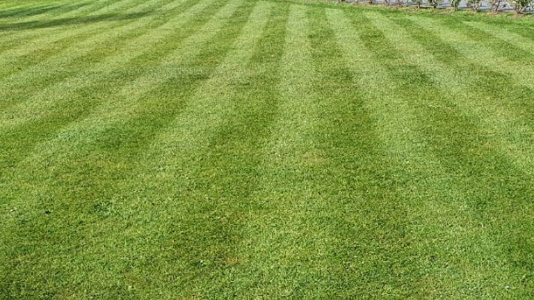 Lawn cutting in Pocklington