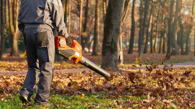 Leaf clearance in Pocklington