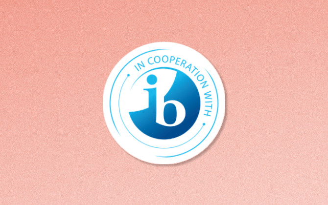 IB Mathematics Applications and Interpretation