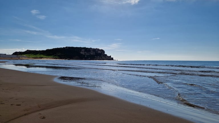 a person walking on a beach with a surfboard