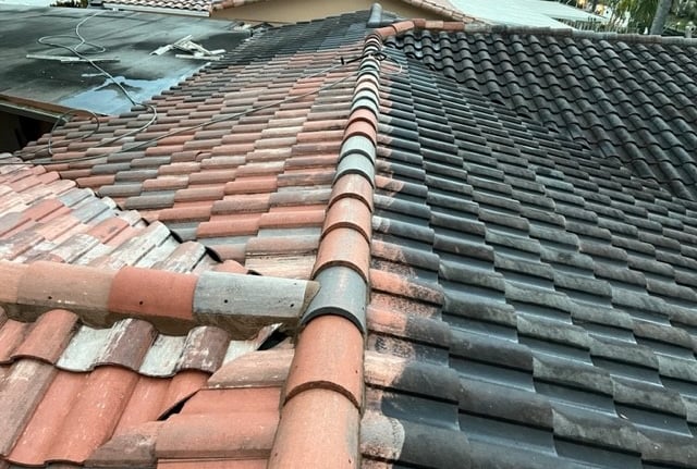 roof mold removal fort lauderdale fl