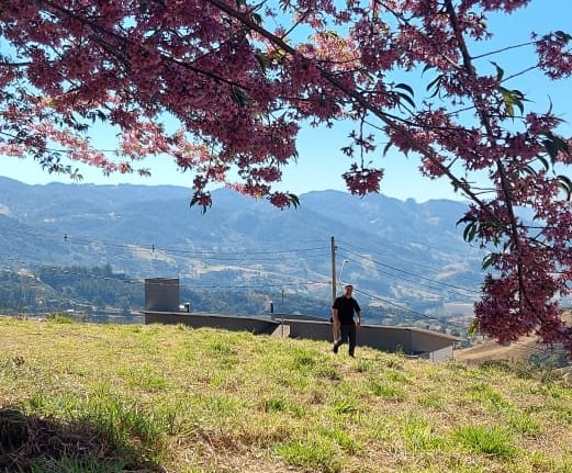 a person sitting on a bench in the grass