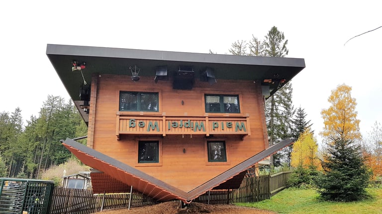 Wald Wipfel Weg Bayerischer Wald