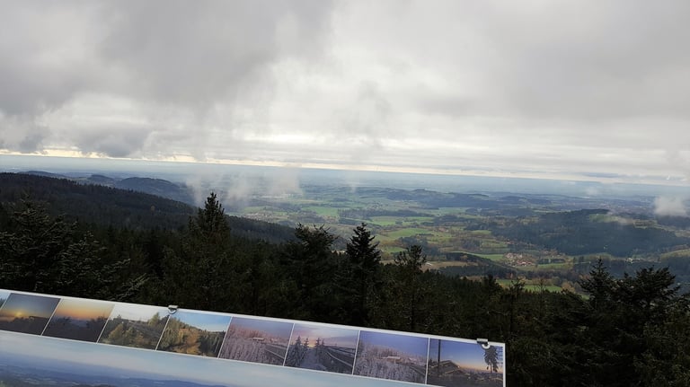 Ausblick Waldwipfelweg Bayerischer Wald