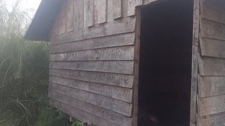 An old shed shrouded with mist.