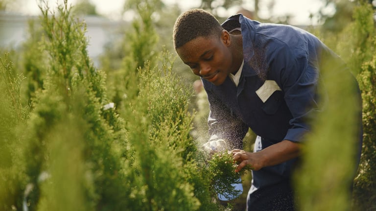 Garden Maintenance