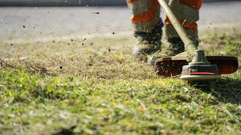 Lawn Mowing