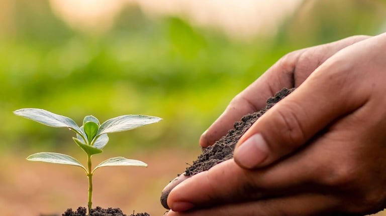 Gros plan main jardinant 