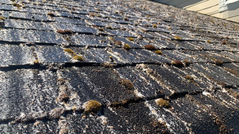 Second Chance Roofs Roof Cleaning