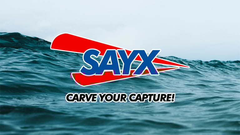 promotiva caso studio sayx lures
