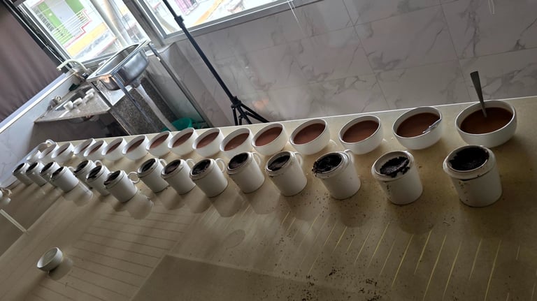 Bir Global Quality Control