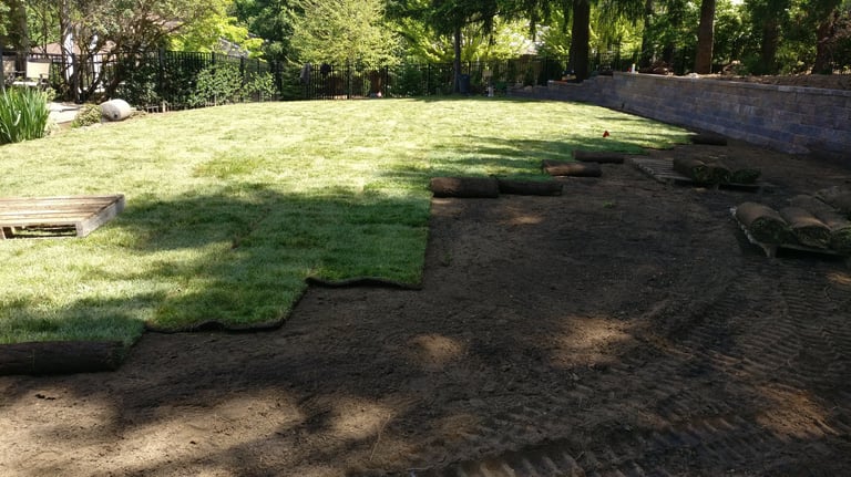 Lawn Installation Services in Portland Lake Oswego West Linn Cedar Mills West Portland Tigard