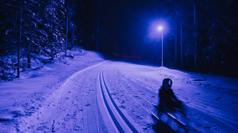 night sledging in Katzenkopf, Leutasch