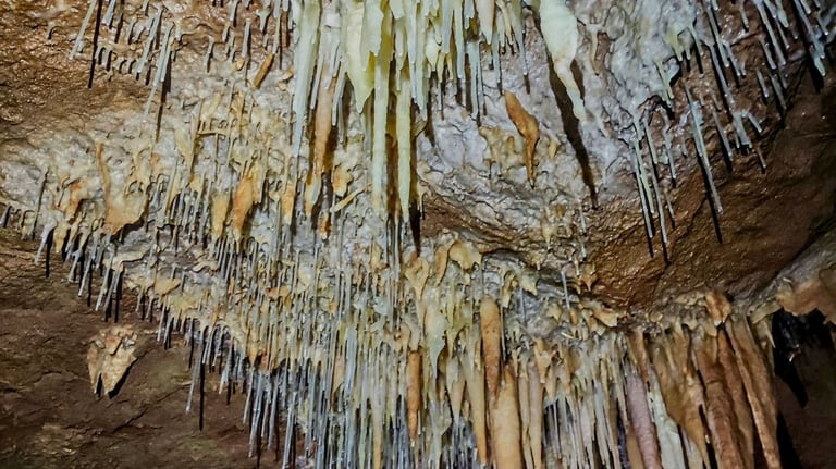 Estalactitas formadas en el techo de una cueva por filtración de agua rica en minerales