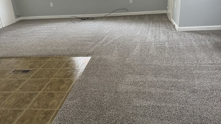 Move in and Out cleaning by Steamaster in Mid-Michigan