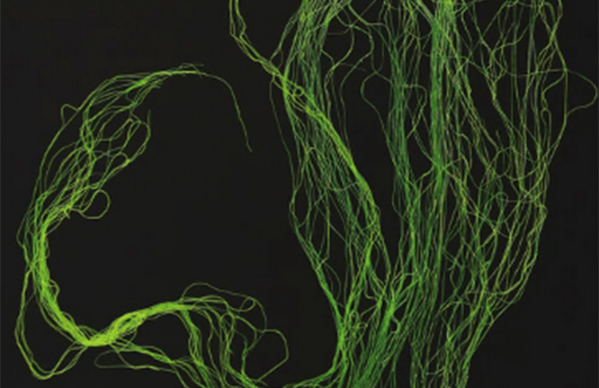  Olka Schok #FilsFreeTechnique  Into the abysses