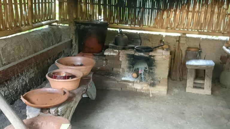 Coffee Farming Experience